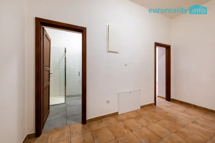 Pronájem bytu 3+kk, Luby, Revoluční, 58 m2