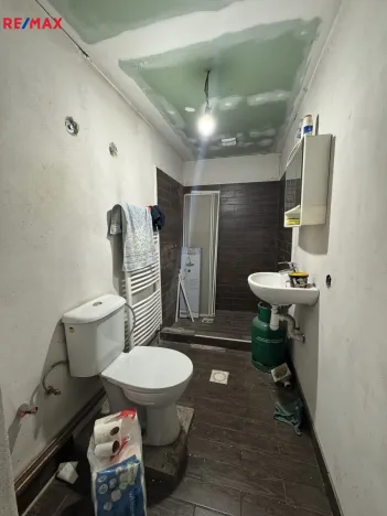 Prodej rodinného domu, Kojetín - Kojetín I-Město, Blanská, 240 m2