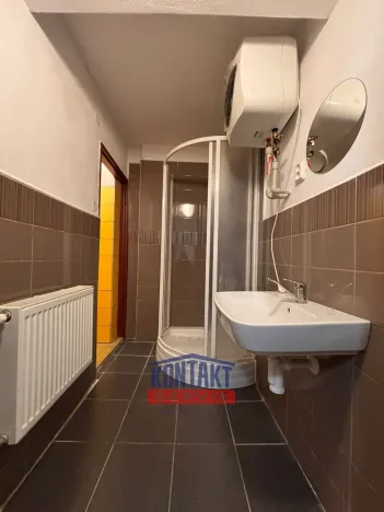 Pronájem obchodního prostoru, Týn nad Vltavou, Horní Brašov, 200 m2