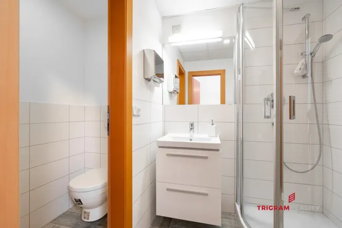 Pronájem bytu 2+kk, Hradec Králové, Eliščino nábřeží, 80 m2