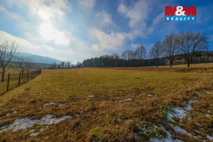 Prodej pozemku pro bydlení, Běšiny, 679 m2