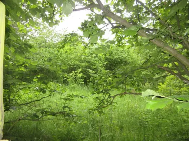 Prodej pozemku, Čížová, 2006 m2