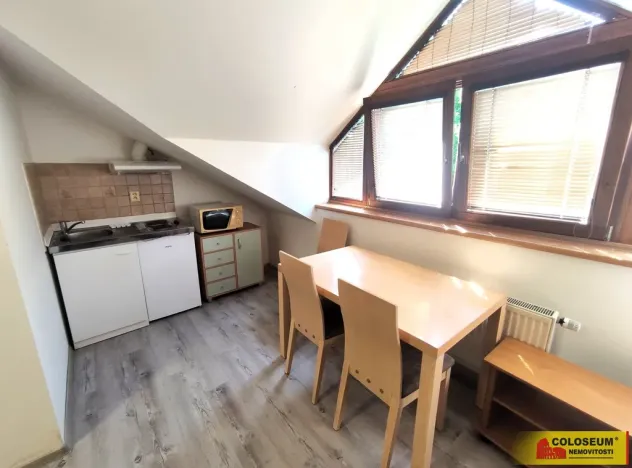 Pronájem bytu 1+kk, Brno, Palackého třída, 28 m2