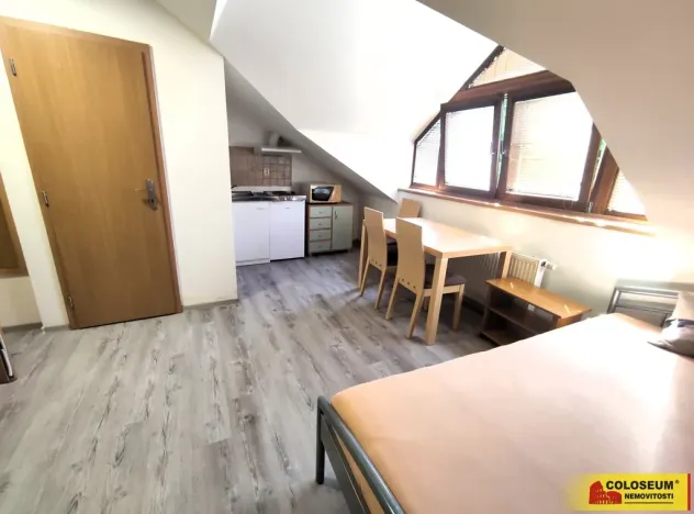 Pronájem bytu 1+kk, Brno, Palackého třída, 28 m2