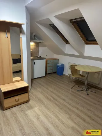 Pronájem bytu 1+kk, Brno, Palackého třída, 28 m2