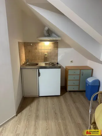 Pronájem bytu 1+kk, Brno, Palackého třída, 28 m2