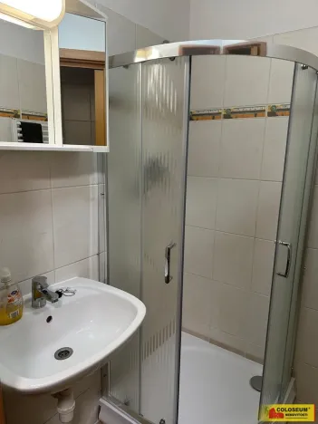 Pronájem bytu 1+kk, Brno, Palackého třída, 28 m2