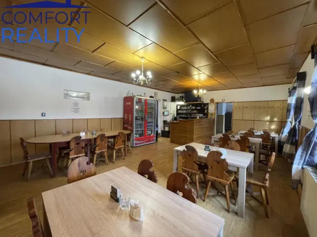 Prodej ubytování, Frýdlant nad Ostravicí - Nová Ves, 400 m2