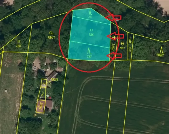 Prodej lesa, Dolní Životice, 776 m2