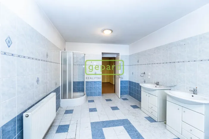 Prodej rodinného domu, Doksy - Staré Splavy, Dalibora z Myšlína, 330 m2