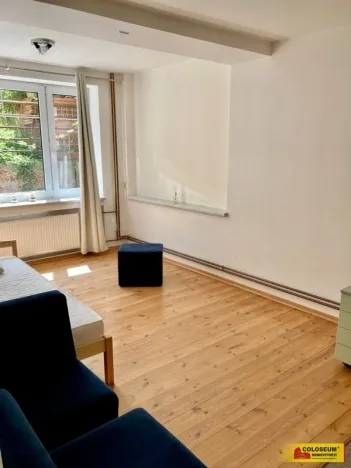 Pronájem bytu 1+1, Brno - Žabovřesky, 45 m2