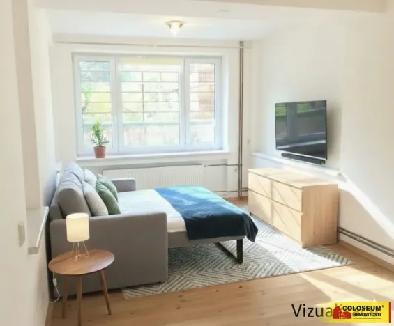 Pronájem bytu 1+1, Brno - Žabovřesky, 45 m2