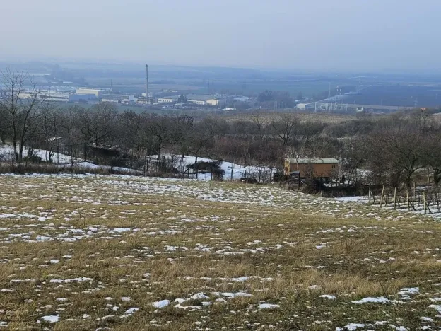 Prodej zahrady, Mikulov, Nová, 2627 m2