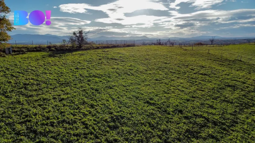 Prodej pozemku pro bydlení, Těrlicko, 4357 m2