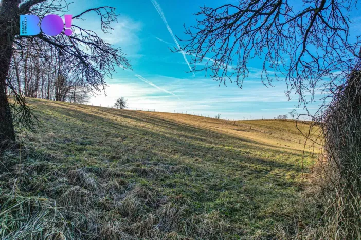 Prodej pozemku pro bydlení, Těrlicko, 4357 m2