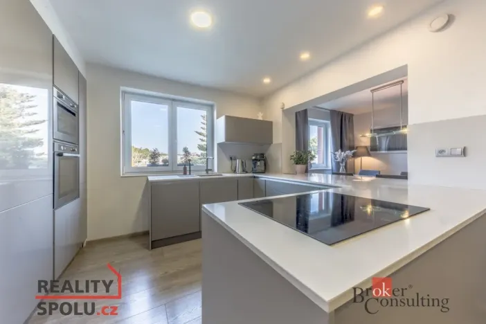 Prodej rodinného domu, Mladá Boleslav - Čejetice, Malá, 280 m2