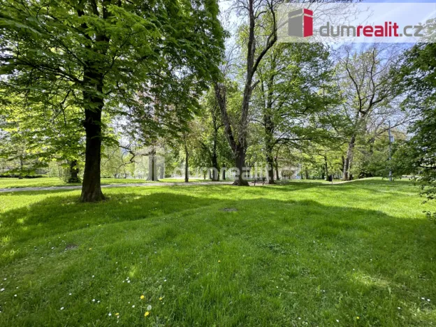 Pronájem bytu 1+kk, Ústí nad Labem - Ústí nad Labem-centrum, Moskevská, 21 m2