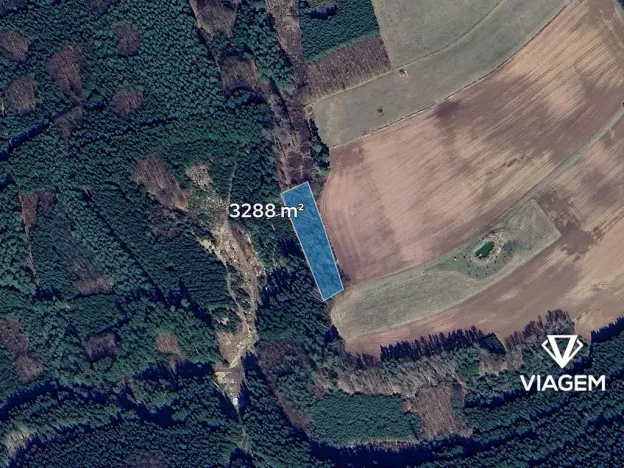 Prodej lesa, Konojedy, 3288 m2