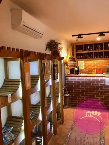 Pronájem obchodního prostoru, Olomouc, Karolíny Světlé, 55 m2