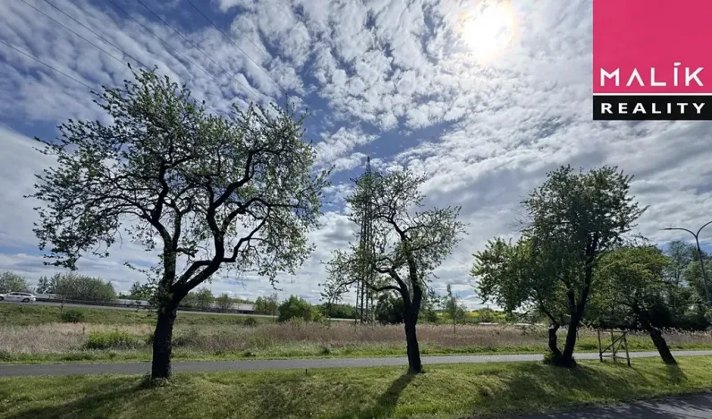 Prodej louky, Ostrov, Jáchymovská, 8734 m2