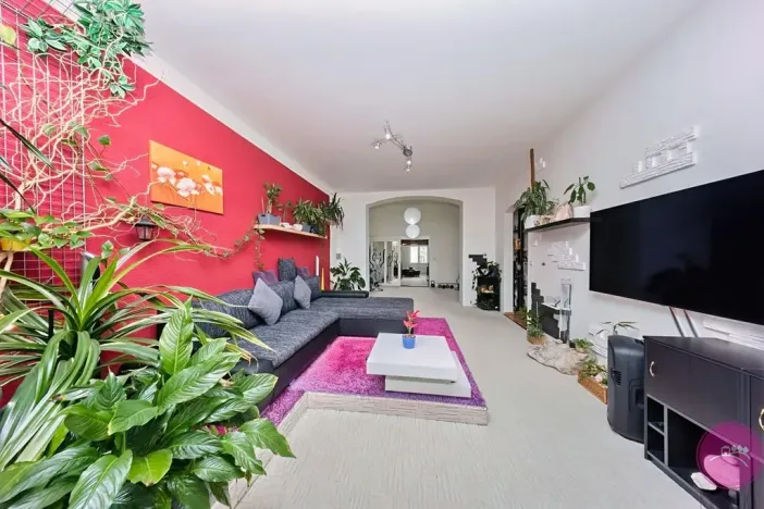 Prodej bytu 3+1, Olomouc, Palackého, 127 m2