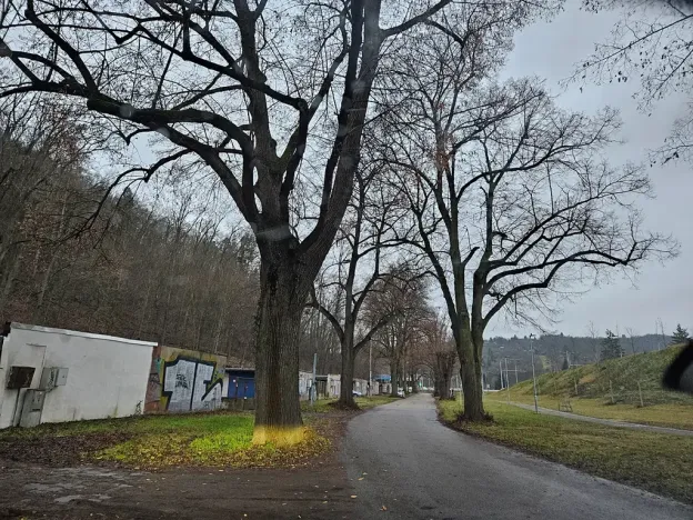 Prodej garáže, Brno, Bráfova, 16 m2