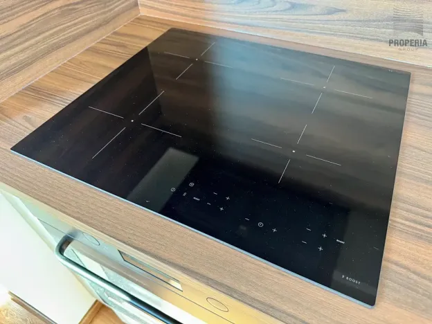 Pronájem bytu 2+kk, Brno, Mahenova, 50 m2