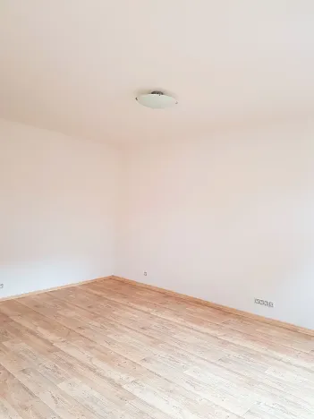 Pronájem bytu 1+kk, České Budějovice, Tylova, 39 m2