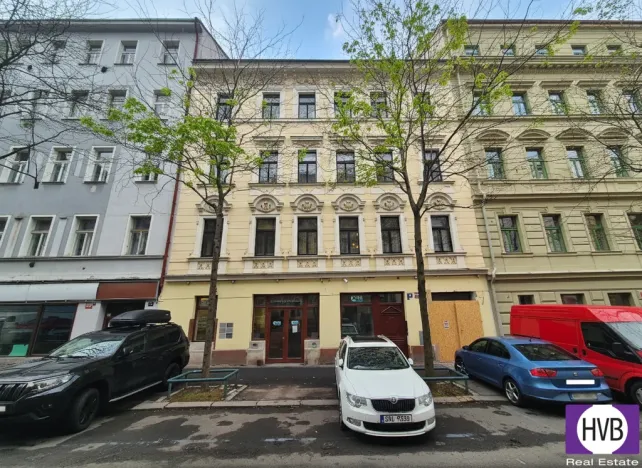 Prodej bytu 1+kk, Praha - Vinohrady, 16 m2
