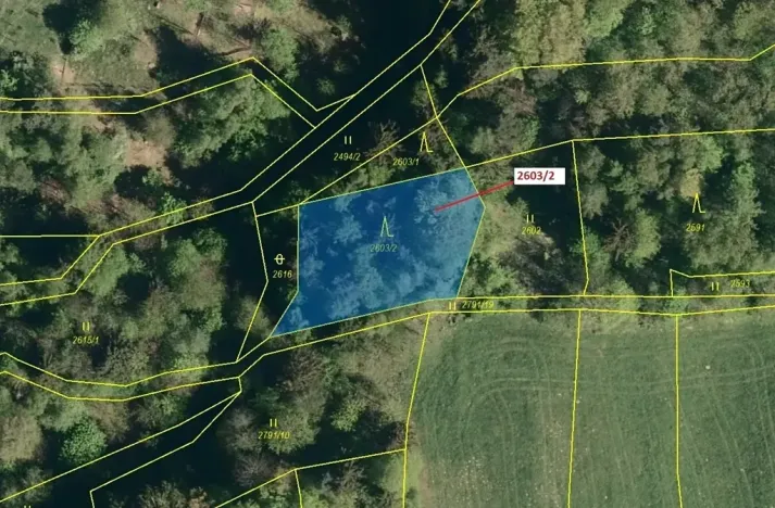 Dražba lesa, Zděchov, 1036 m2