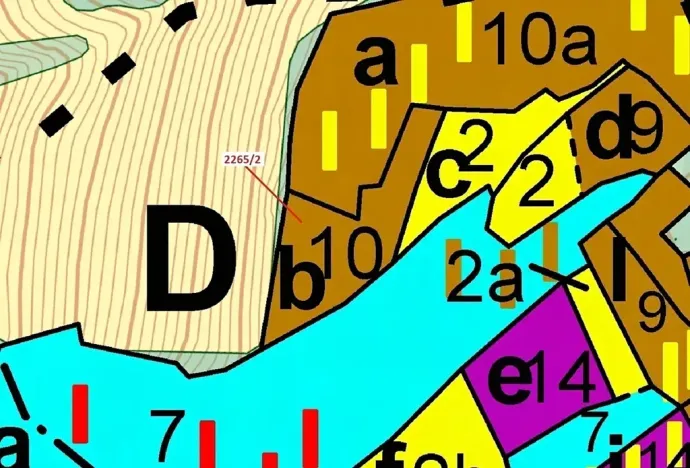 Dražba lesa, Zděchov, 2225 m2