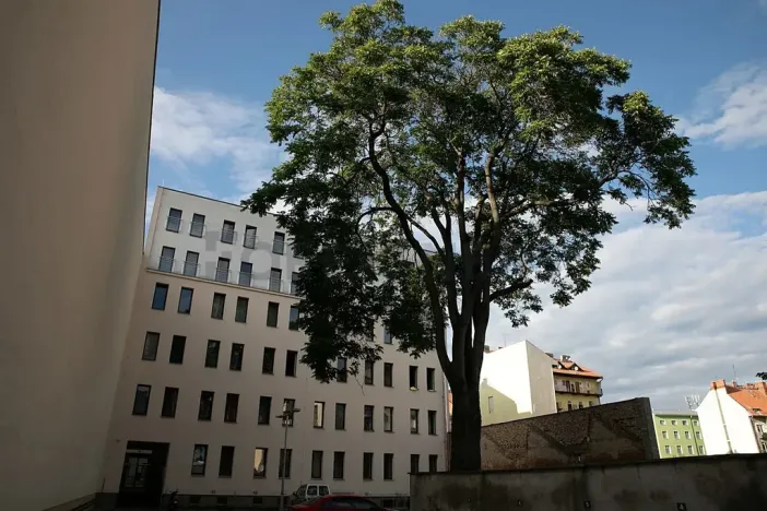 Prodej bytu 1+1, Brno, Bratislavská, 38 m2