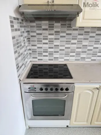 Pronájem bytu 2+1, Bílina - Pražské Předměstí, Aléská, 49 m2