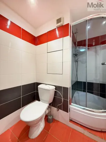 Pronájem bytu 2+1, Bílina - Pražské Předměstí, Aléská, 49 m2