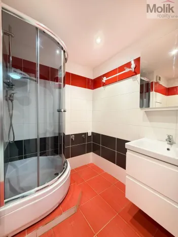 Pronájem bytu 2+1, Bílina - Pražské Předměstí, Aléská, 49 m2