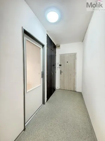 Pronájem bytu 2+1, Bílina - Pražské Předměstí, Aléská, 49 m2