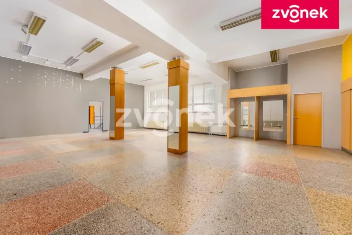 Prodej obchodního prostoru, Uherský Brod, 700 m2