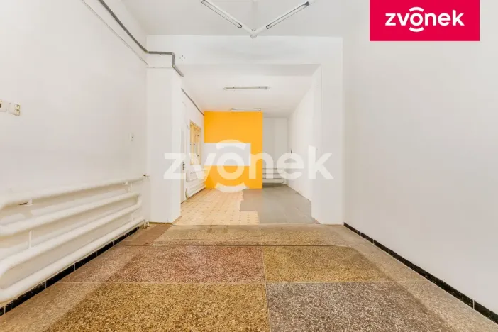 Prodej obchodního prostoru, Uherský Brod, 700 m2