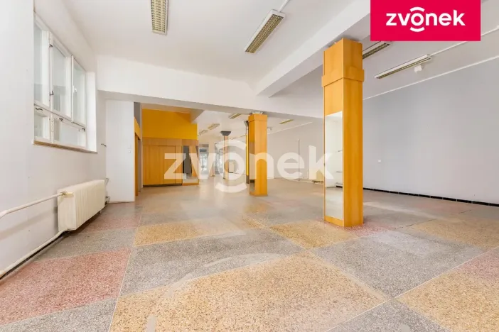 Prodej obchodního prostoru, Uherský Brod, 700 m2