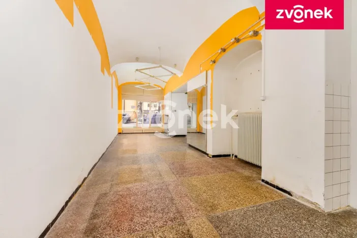 Prodej vily, Uherský Brod, Masarykovo nám., 700 m2