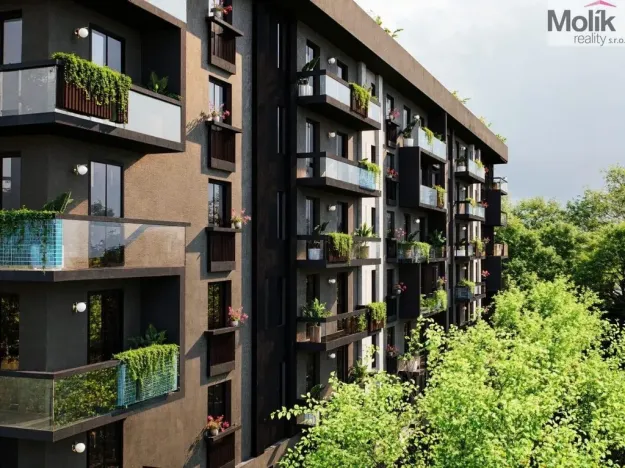 Prodej bytu 3+kk, Golem, 67 m2