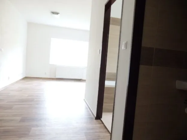 Pronájem bytu 4+kk, Břidličná, Lesy, 82 m2