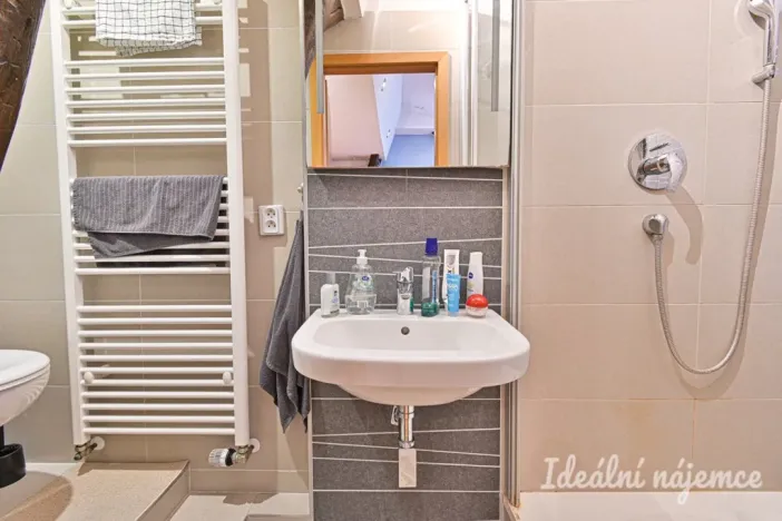 Pronájem bytu 2+kk, Brno - Štýřice, Vídeňská, 28 m2