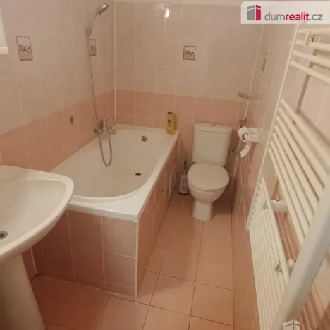 Pronájem bytu 1+1, Děčín - Děčín VI-Letná, Fibichova, 44 m2