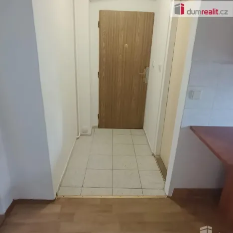 Pronájem bytu 1+1, Děčín - Děčín VI-Letná, Fibichova, 44 m2