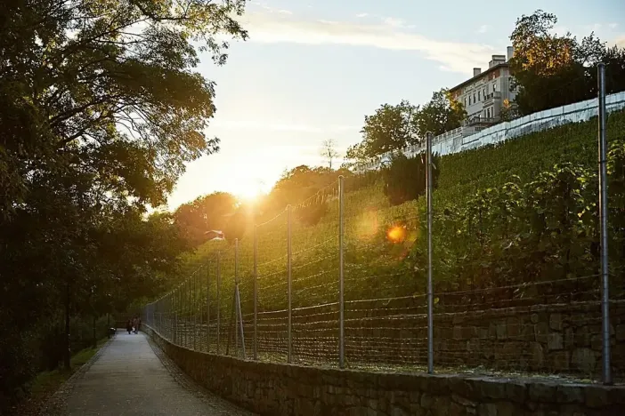 Prodej bytu 2+kk, Praha - Nusle, Bělehradská, 126 m2