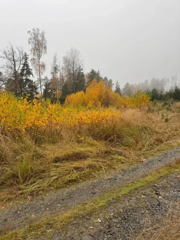 Prodej podílu lesa, Úboč, 4513 m2