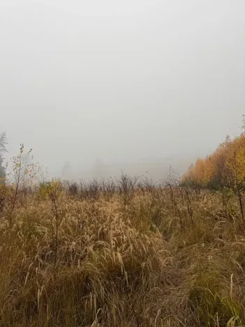 Prodej podílu lesa, Úboč, 4513 m2