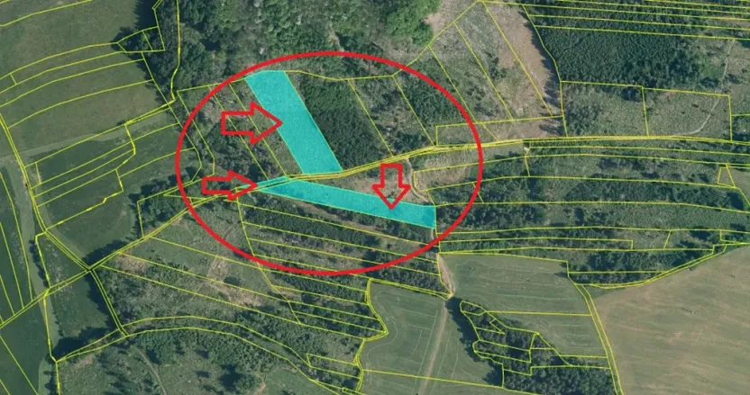 Prodej podílu lesa, Úboč, 4513 m2