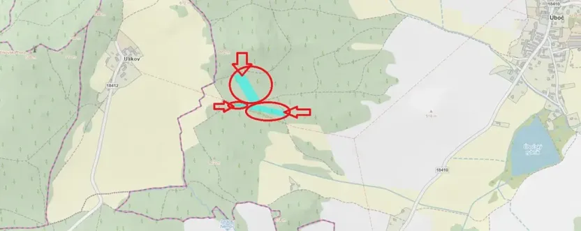 Prodej podílu lesa, Úboč, 4513 m2